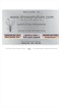 Mobile Screenshot of drosophyllum.com